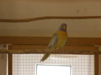 /album/fotogalerie-fotogalerie/p9100020-jpg/